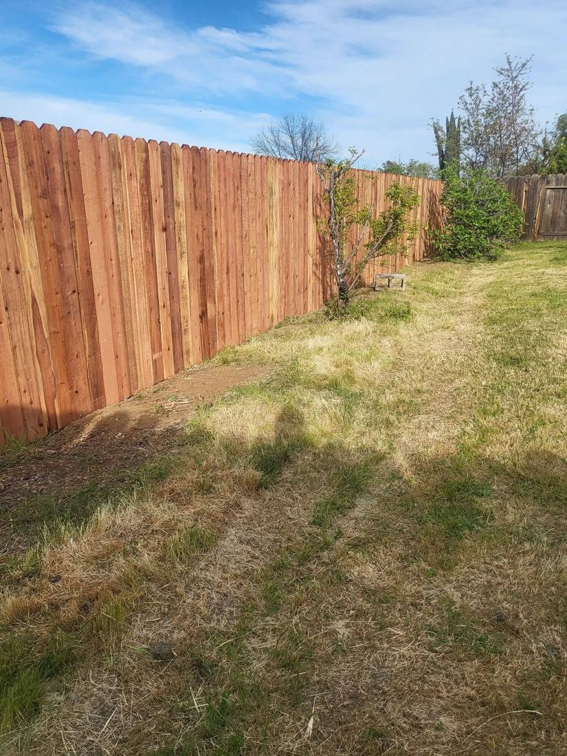 Tall new cedar privacy fence built by Brooks Home Improvements in Corpus Christi