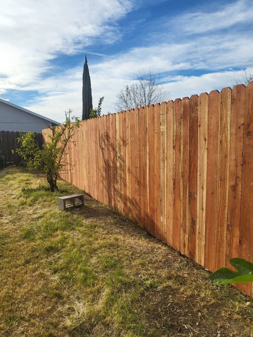 Replaced wood privacy fence in a Corpus Christi backyard